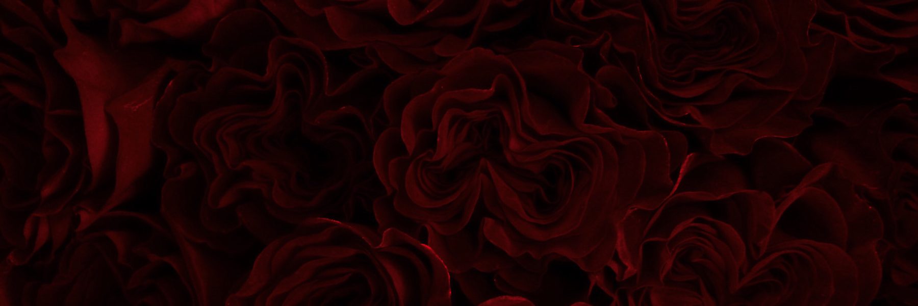 Roses Bouquet